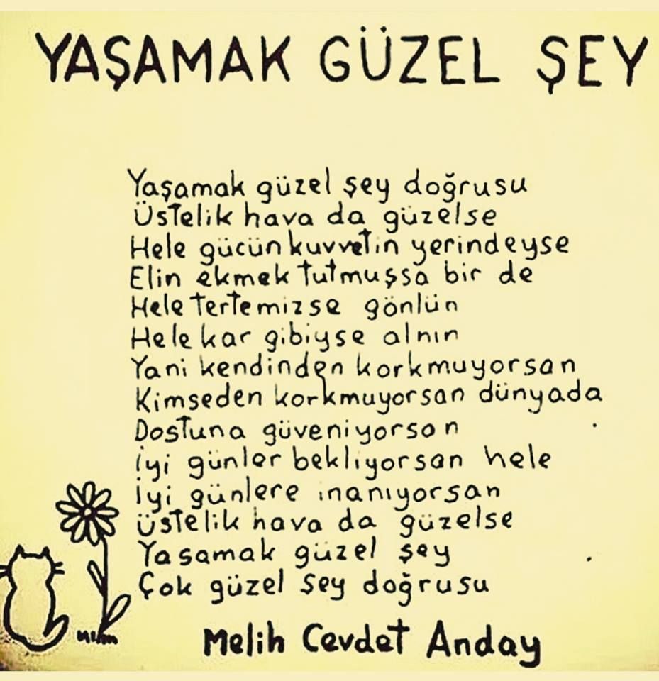 Azerbaycan Hakkında Her Şey: Kafkasların Güzel Ülkesi ile Tanışın görsel