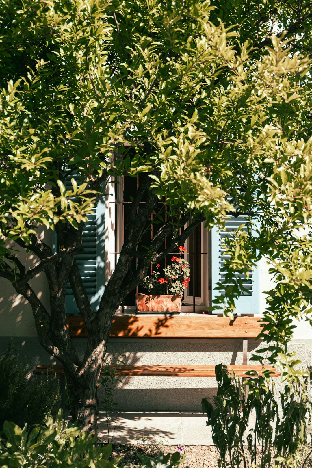 at yarışı sonuçları görsel