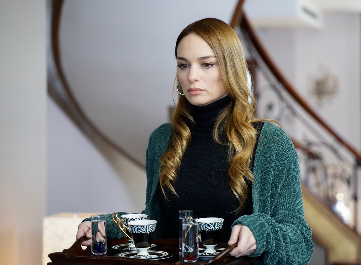nilperi şahinkaya görsel